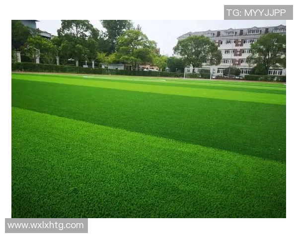 足球草坪基层建设的重要性与维护技巧解析